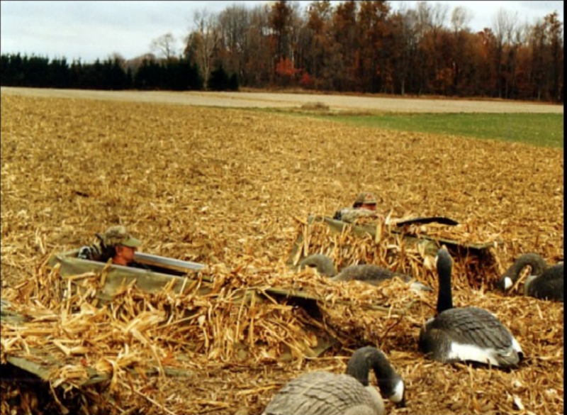 Stunning landscape of Blenheim, featuring a scenic fishing and hunting location