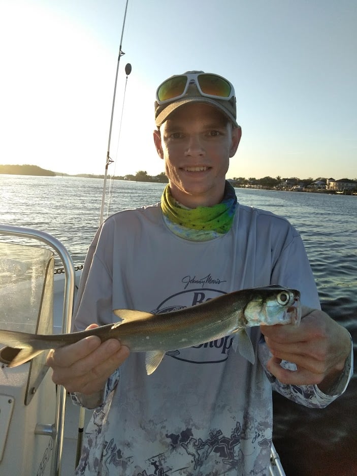 Ladyfish caught in FL