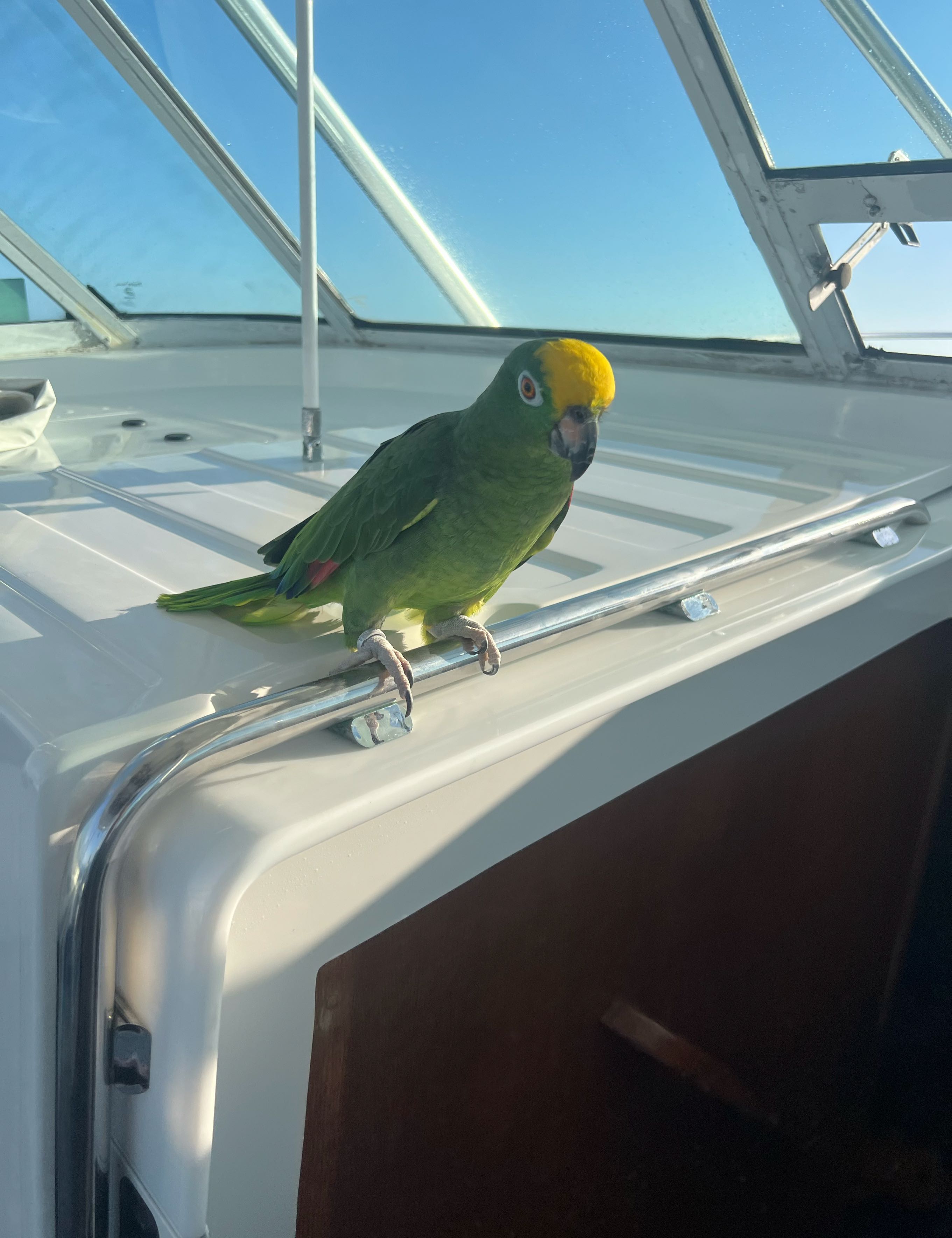Fishing adventure in Virginia Beach