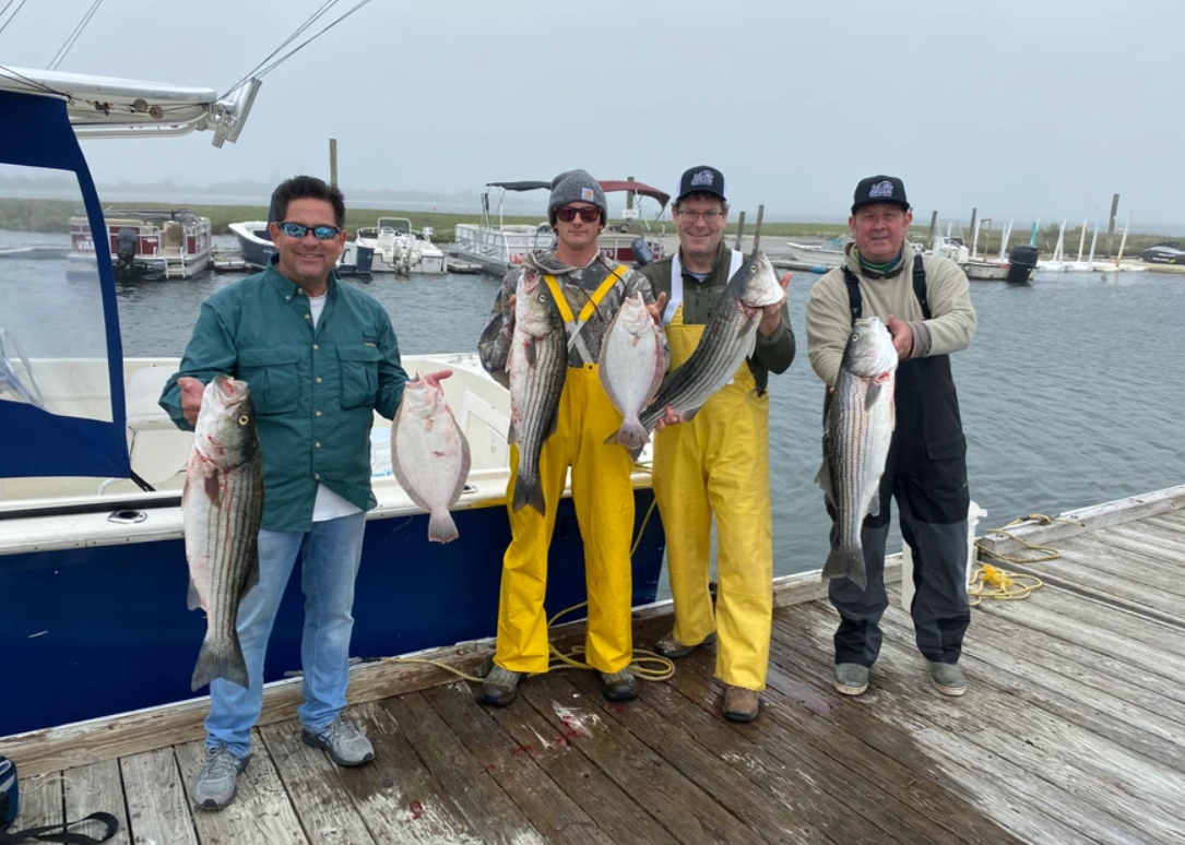 6 striped bass caught in Barnegat Light