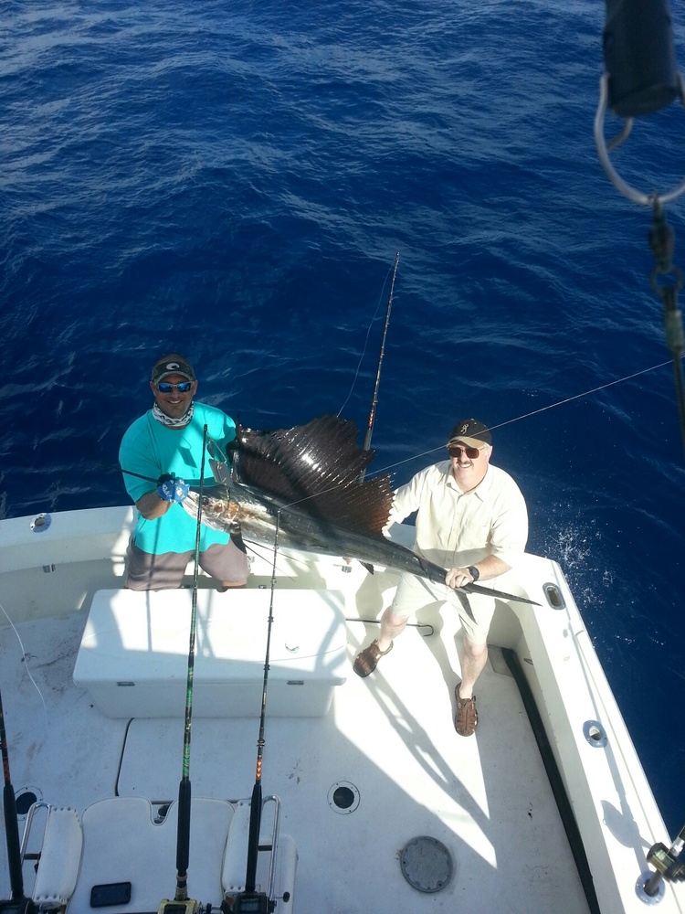Atlantic Sailfish caught while fishing in Pompano Beach