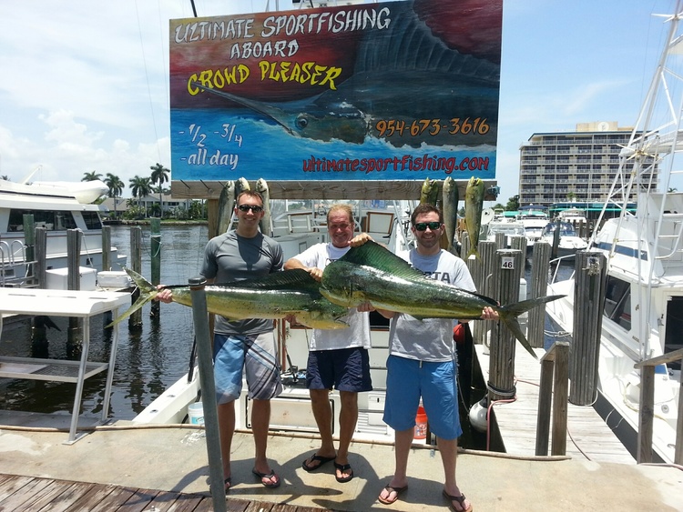3 mahi mahi fish caught while fishing in Pompano Beach