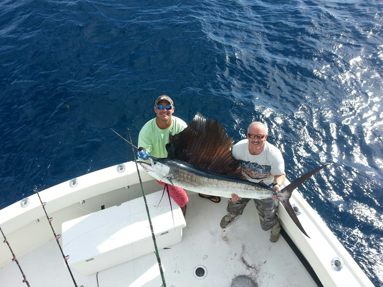 Caught a huge Atlantic Sailfish in FL while fishing