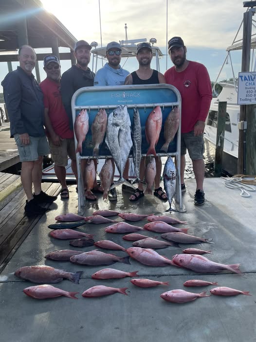Fishing charter catch display showing red grouper and mixed species at Panama City Beach FL