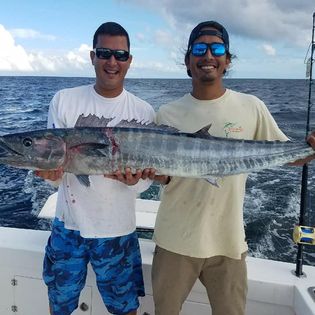 Great Barracuda, a 37-inch fish, caught fishing in FL