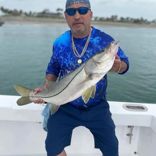 Snook fish caught while fishing in FL