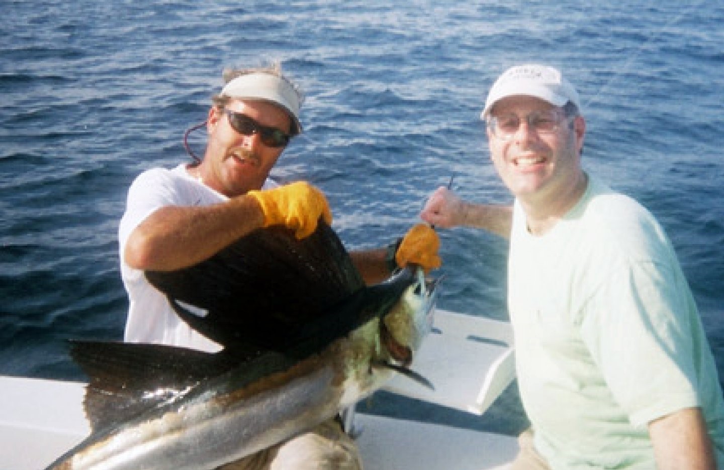 An impressive Atlantic Sailfish caught by two anglers in FL