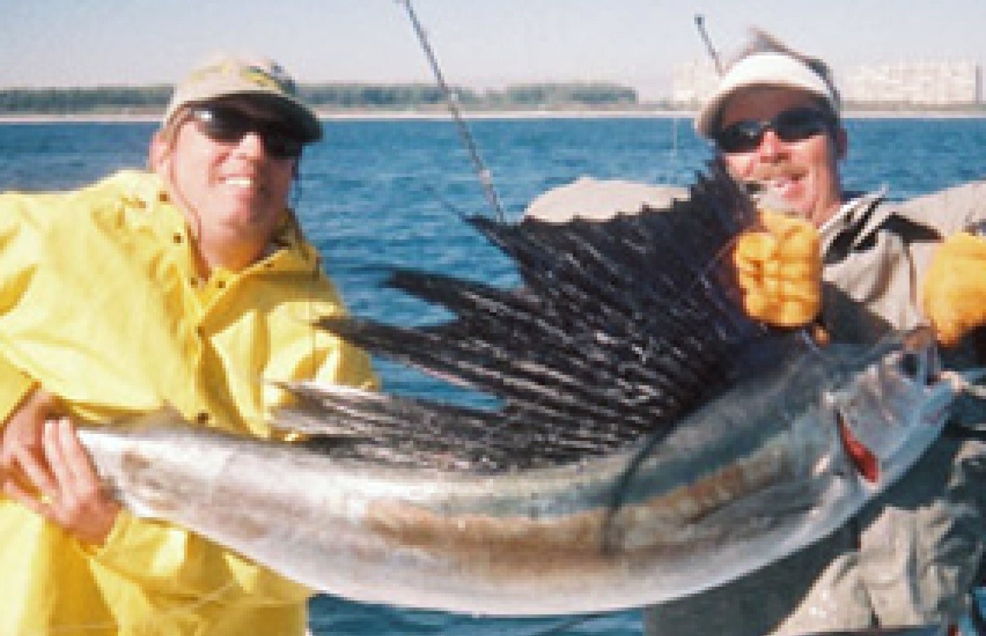 Angler catching a massive Atlantic Sailfish in FL