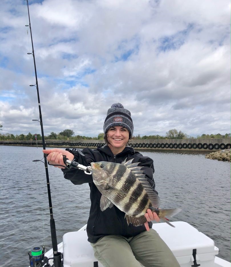 Sheepshead fish caught by angler in Orange Beach