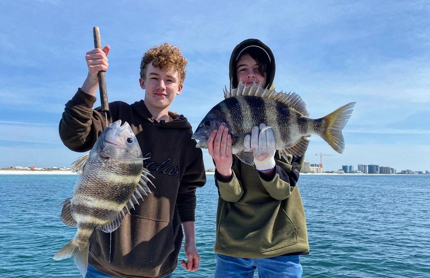 Two sheepshead fish caught in Orange Beach