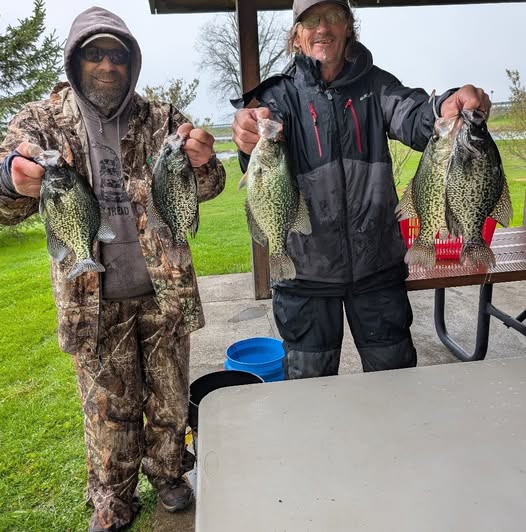 Fresh caught crappie displayed at fishing cleaning station in Foxburg PA