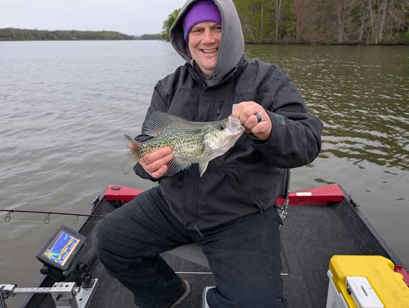 Freshly caught crappie held on fishing boat in Foxburg PA waters