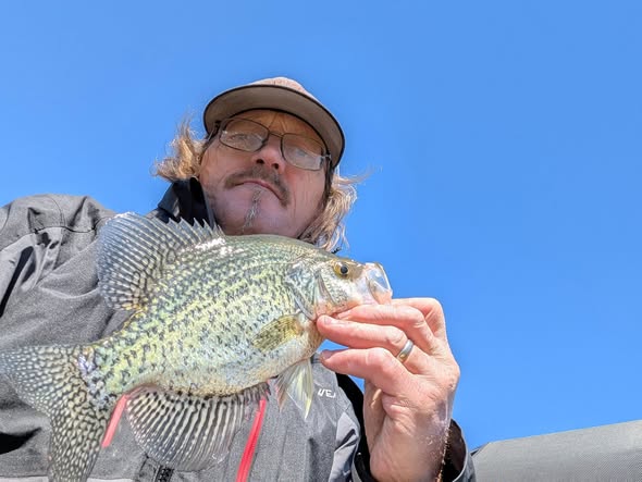 Angler holding freshly caught crappie fish in Foxburg PA
