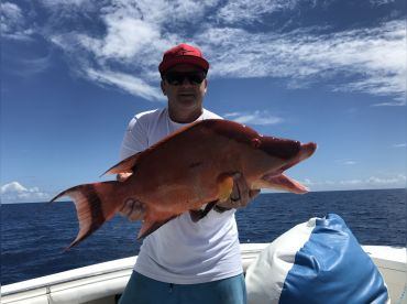 Hogfish caught in NC