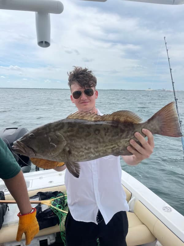 Gag Grouper fish caught while fishing in FL