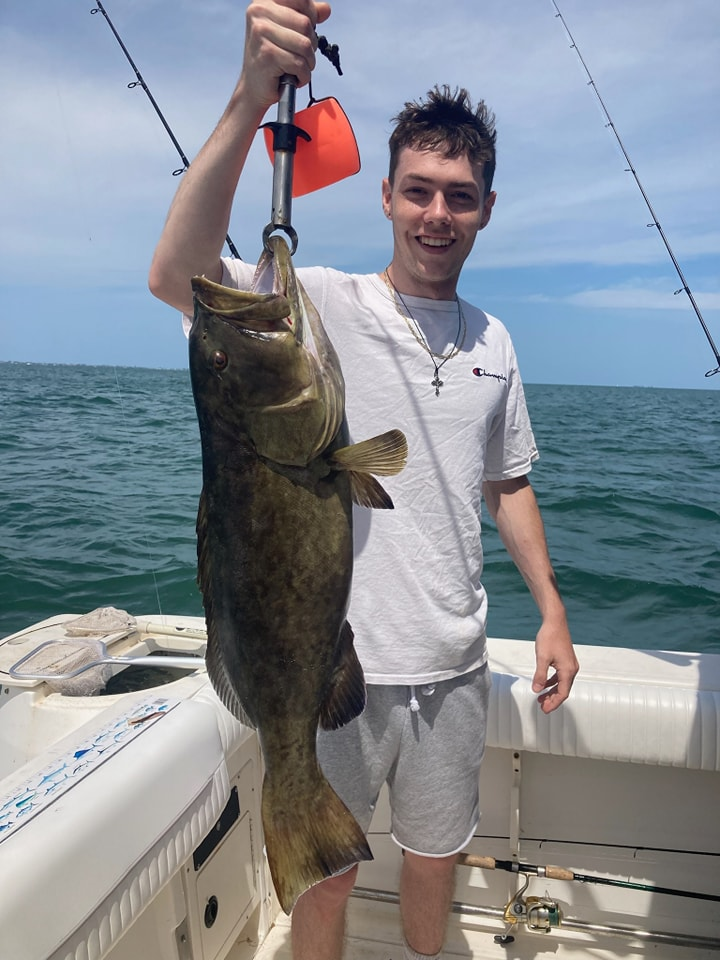 Gag Grouper caught while fishing in Palmetto