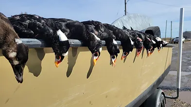 Stunning landscape in NJ with fishing and hunting