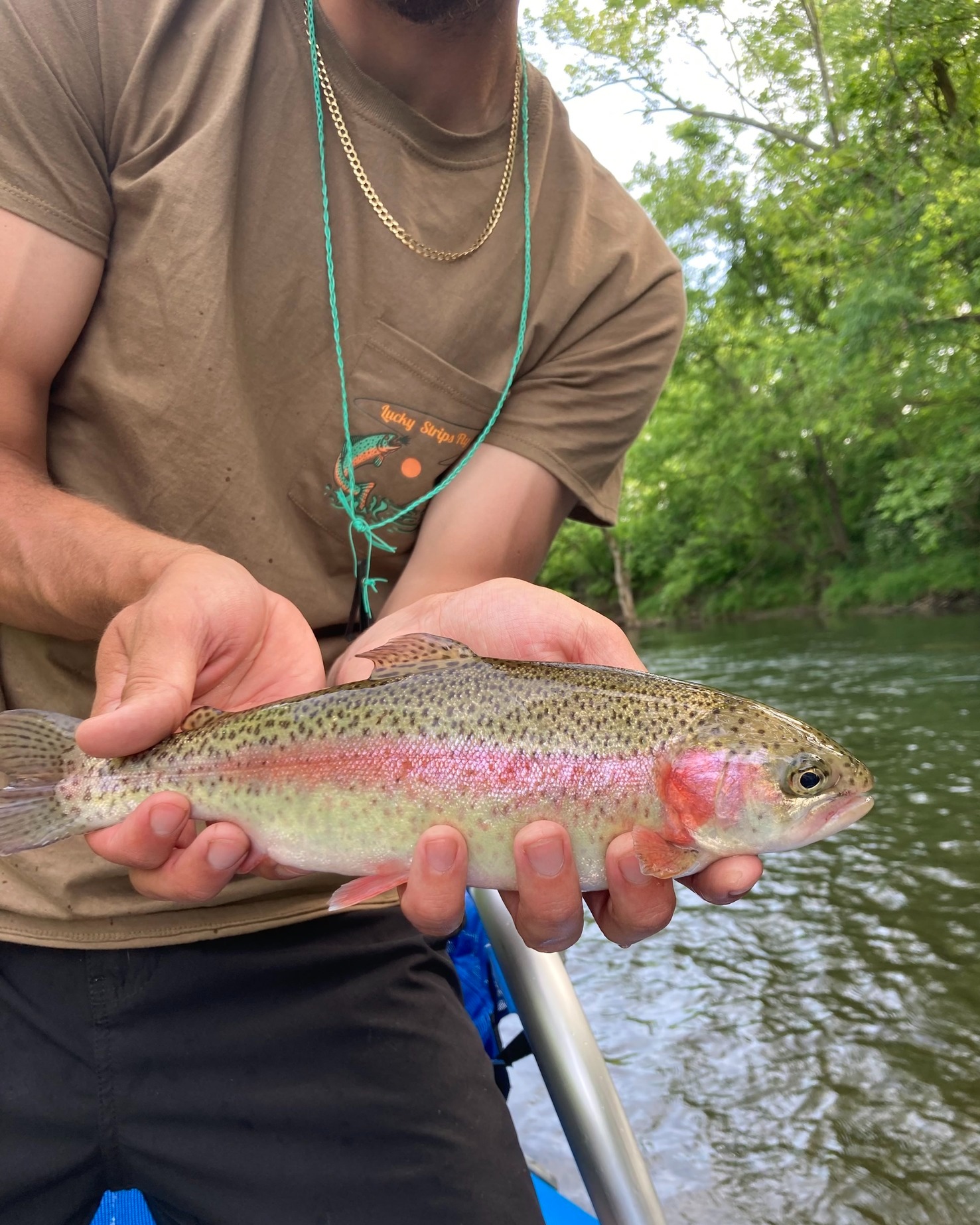 Majestic rainbow trout caught in VA