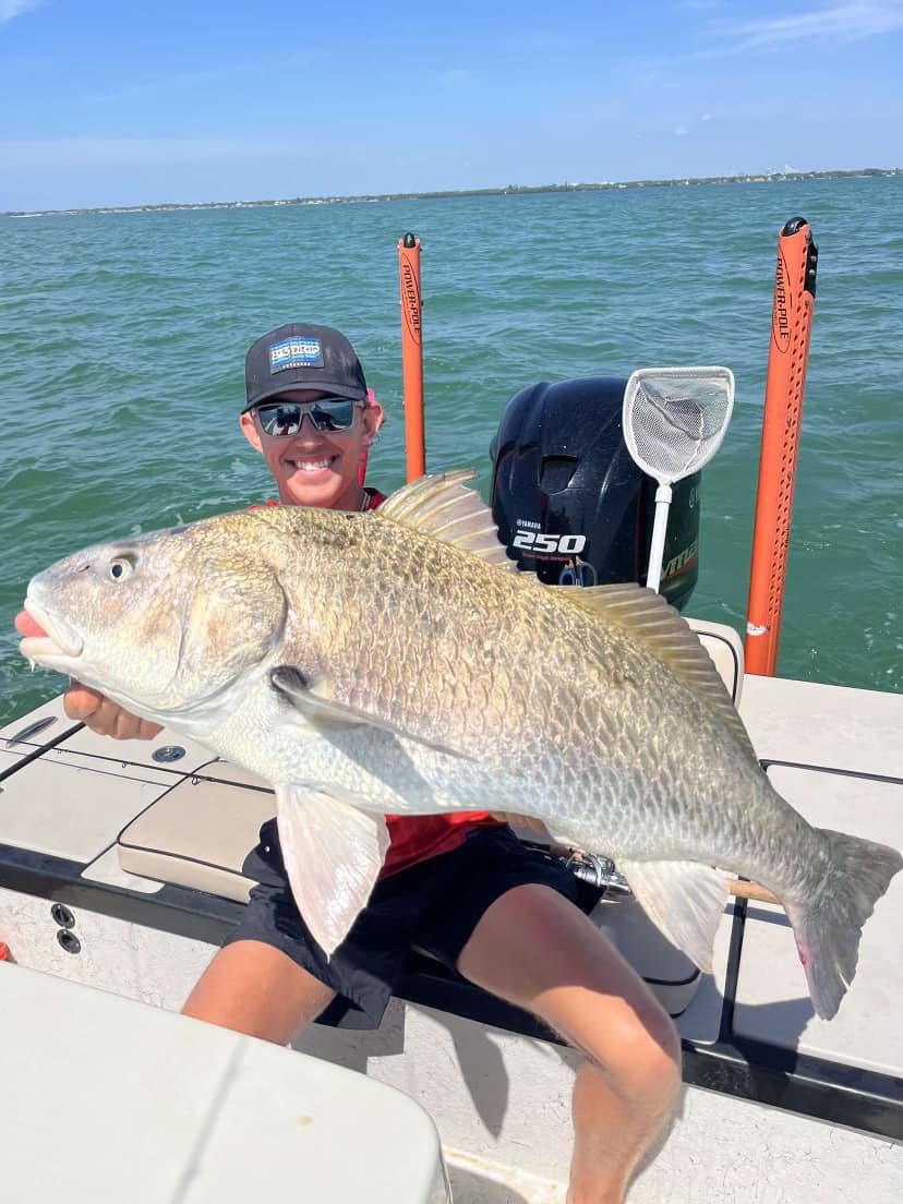 Angler holding a black drum fish in FL