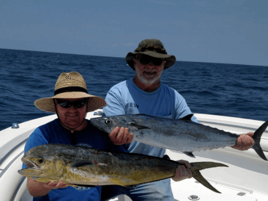 Two king mackerel, 24 inches long, caught while fishing in NC