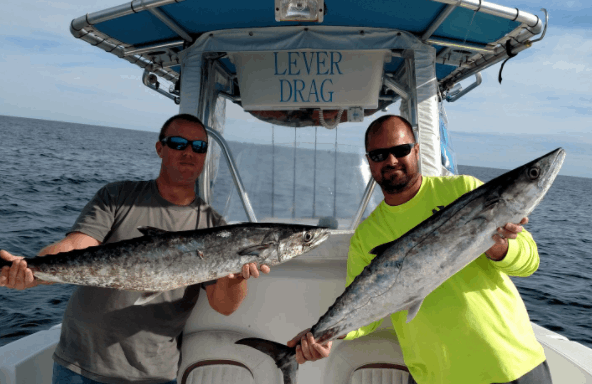 Two king mackerel, a 28-inch catch, fishing in NC