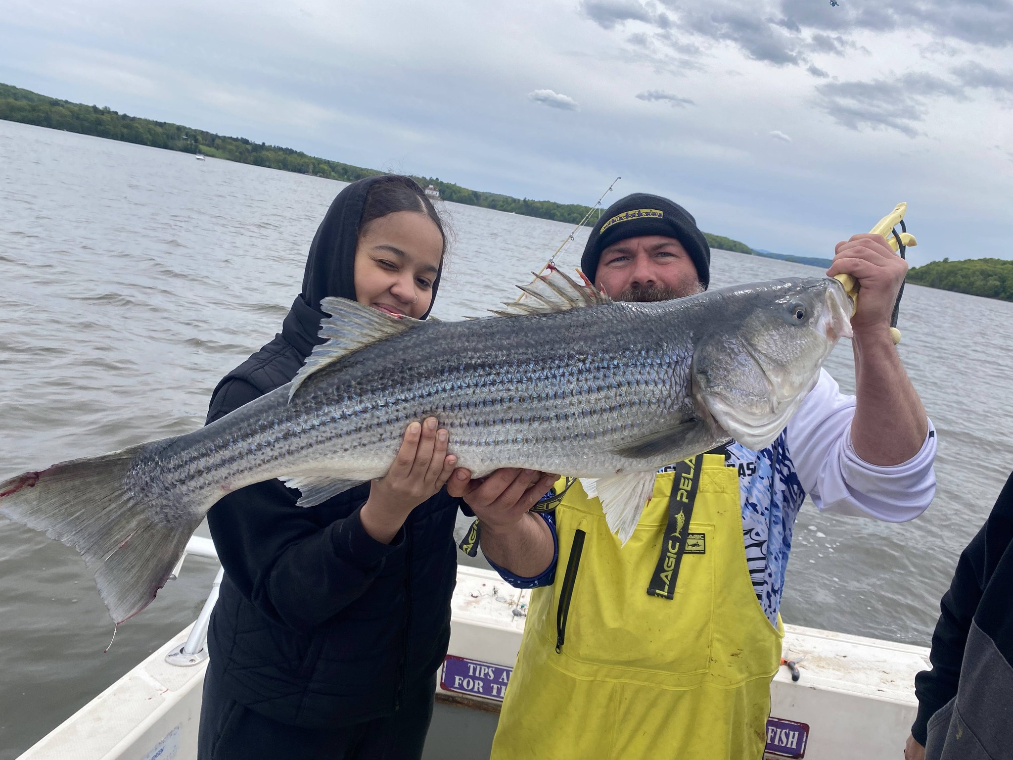 Large striped bass caught during fishing charter in Connelly NY