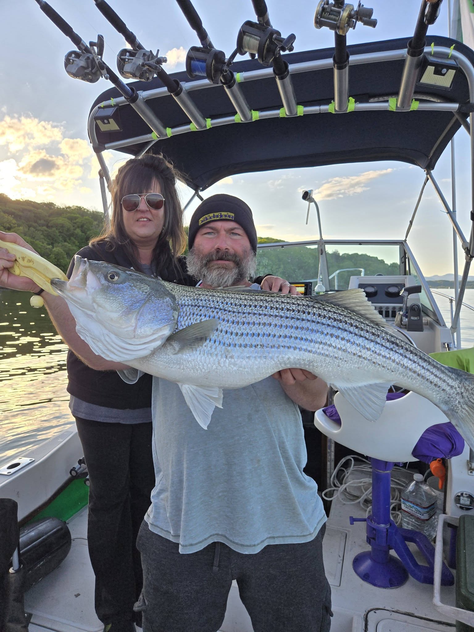 Large striped bass caught during fishing charter in Connelly NY