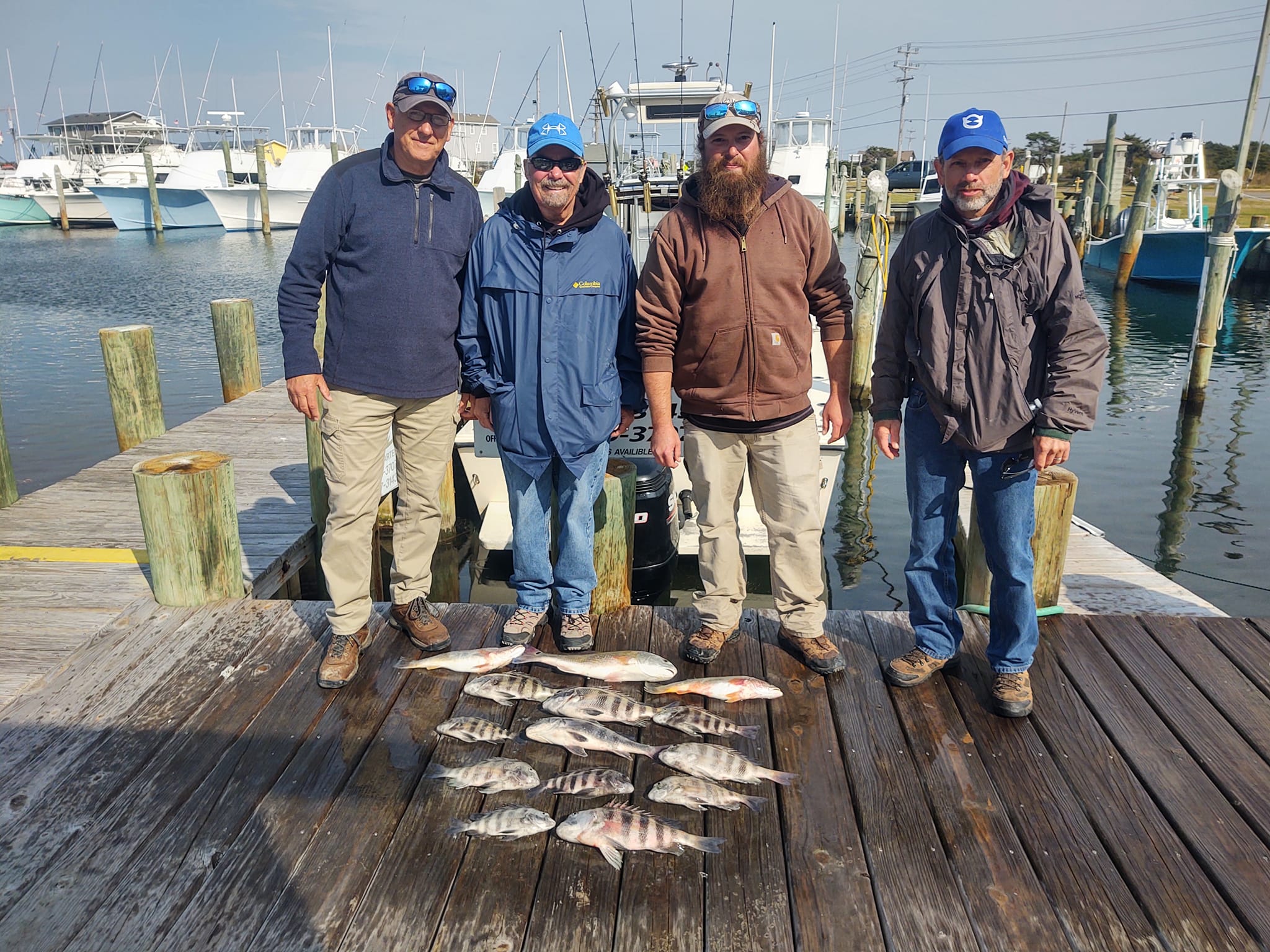 Sheepshead fish caught in Hatteras during fishing trip