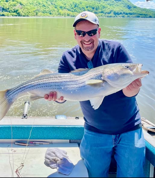Striped bass fishing catch displayed on boat in Mexico NY