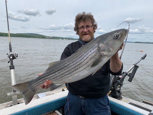 Experience the Thrill of Hudson River Striped Bass Fishing (Price Is For 1-4 Guests )