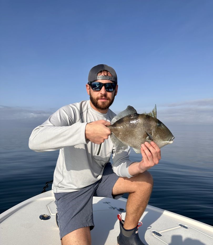Grey Triggerfish caught while fishing in FL