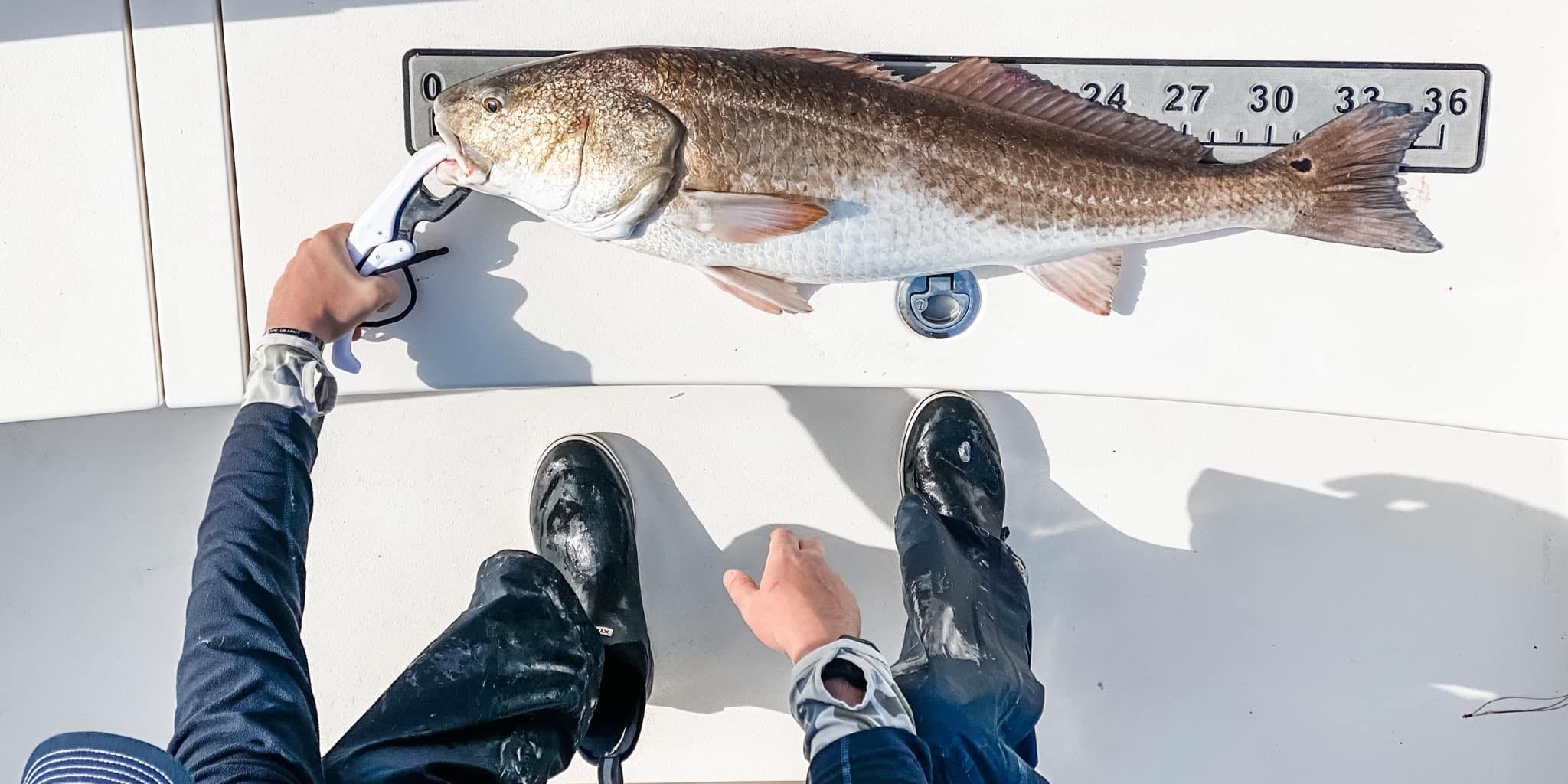 Redfish caught while fishing in FL