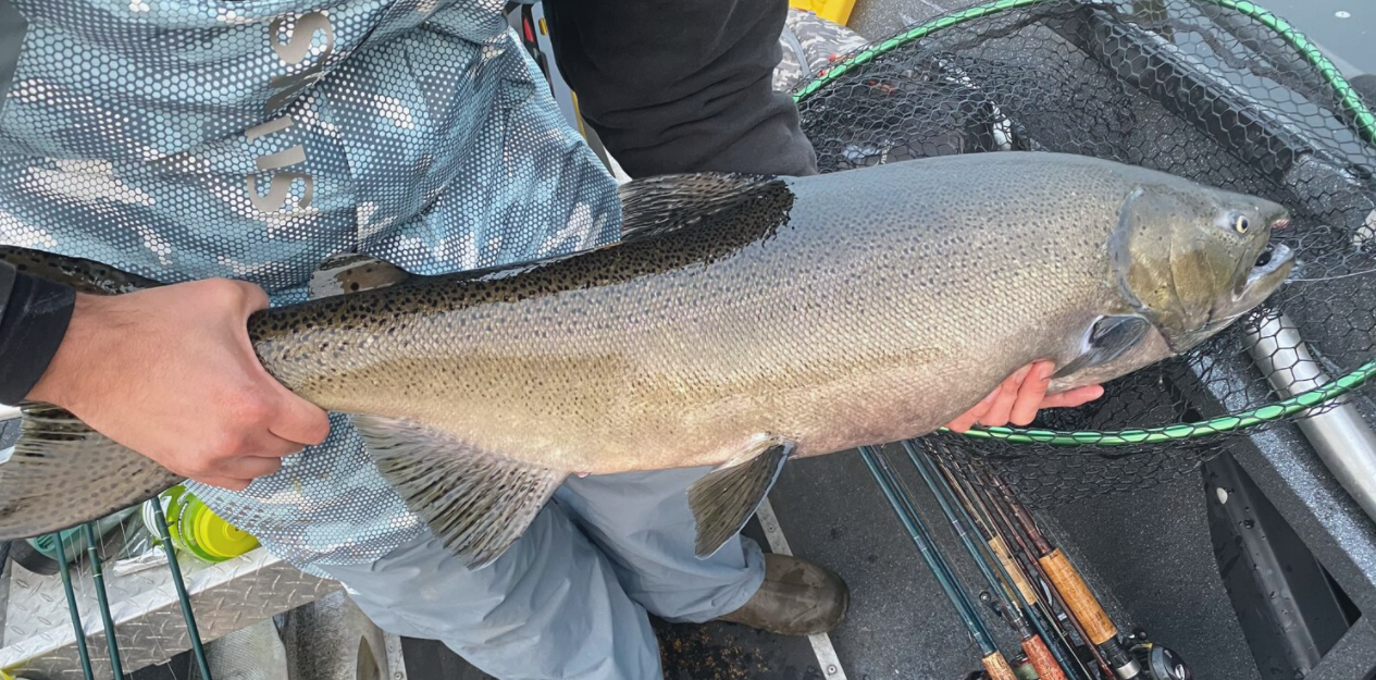 Rainbow trout fishing in NY