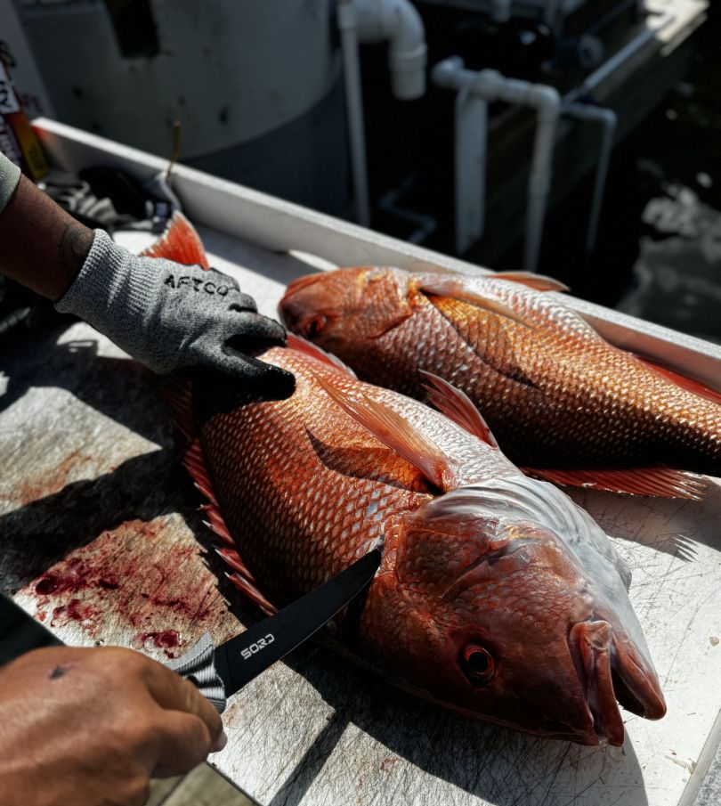 One fishing pole in Boca Grande