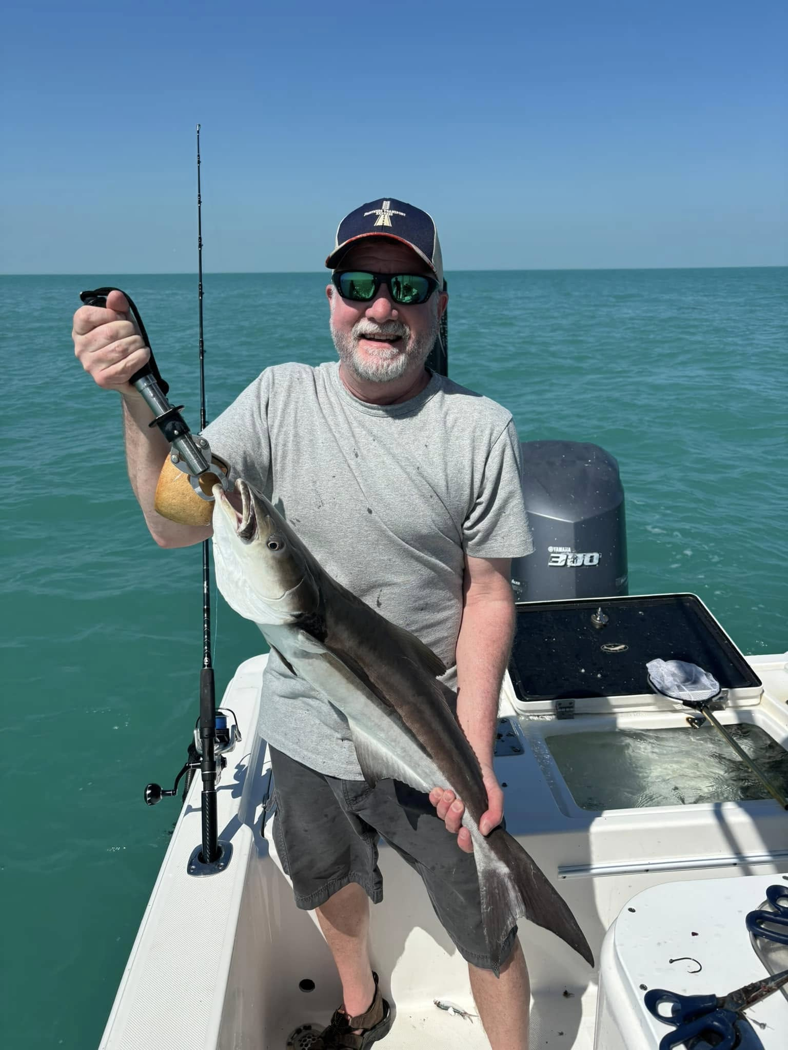 Cobia fish caught while fishing in Key West