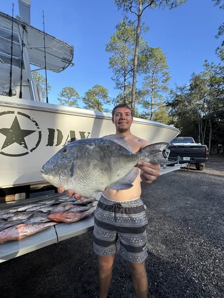 Grey triggerfish catch displayed after fishing trip in Carrabelle FL