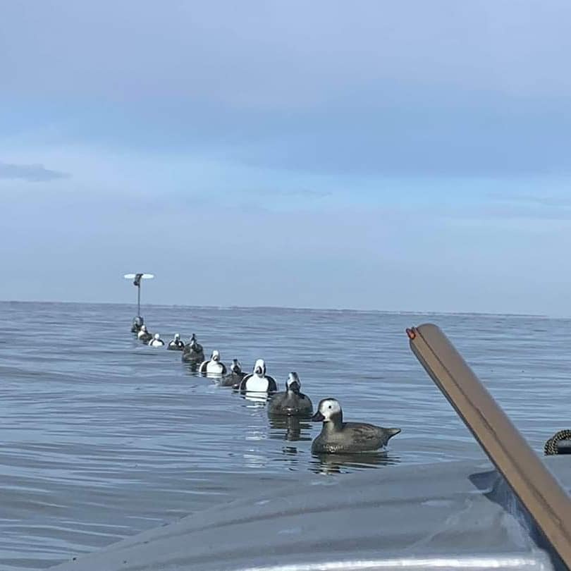 Fishing in MI