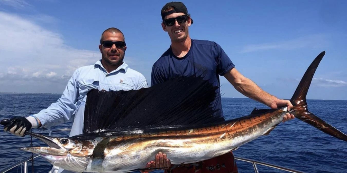 A majestic Atlantic Sailfish caught during a fishing trip in FL