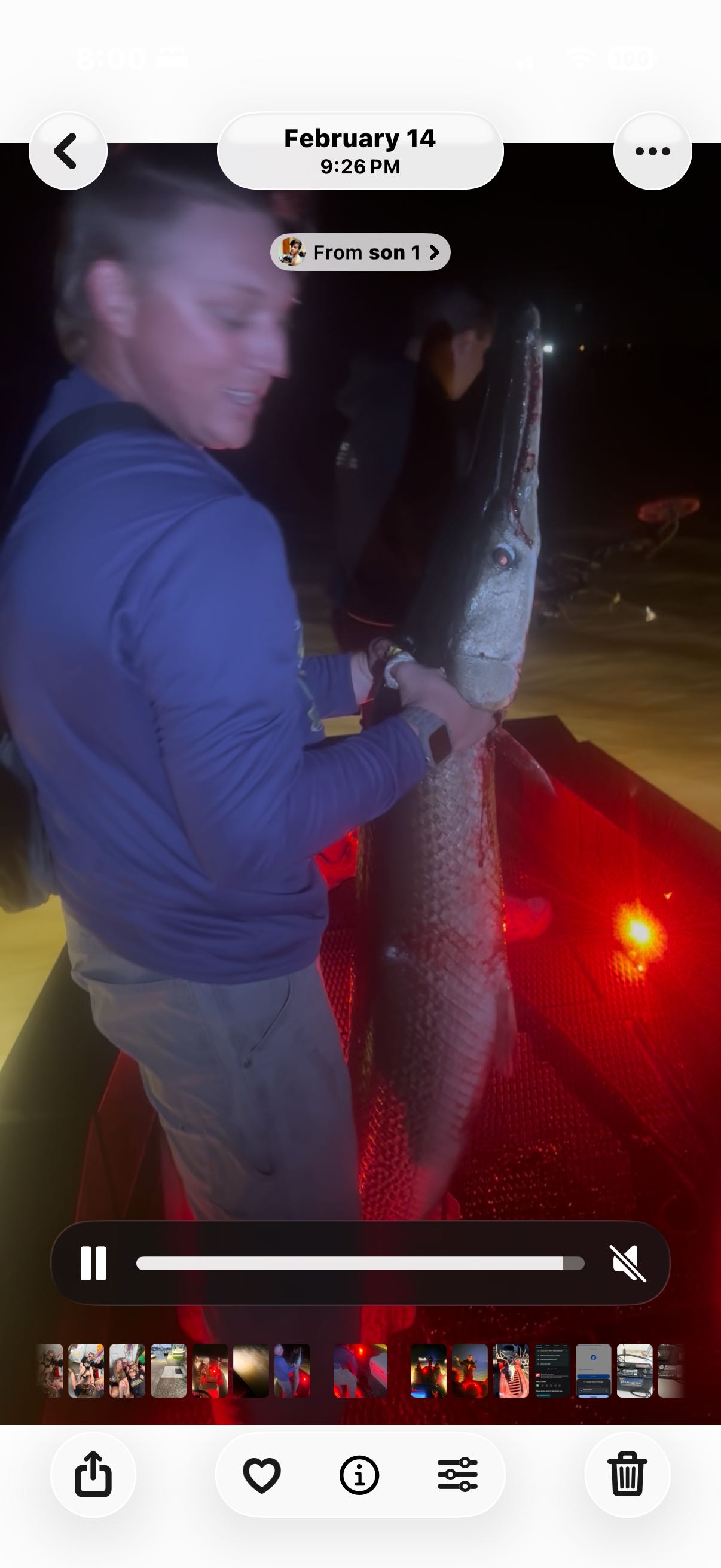 Large fish being processed at night in Lafitte LA fishing trip