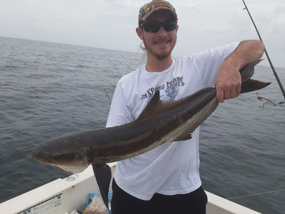 Cobia catch fishing in Little River SC