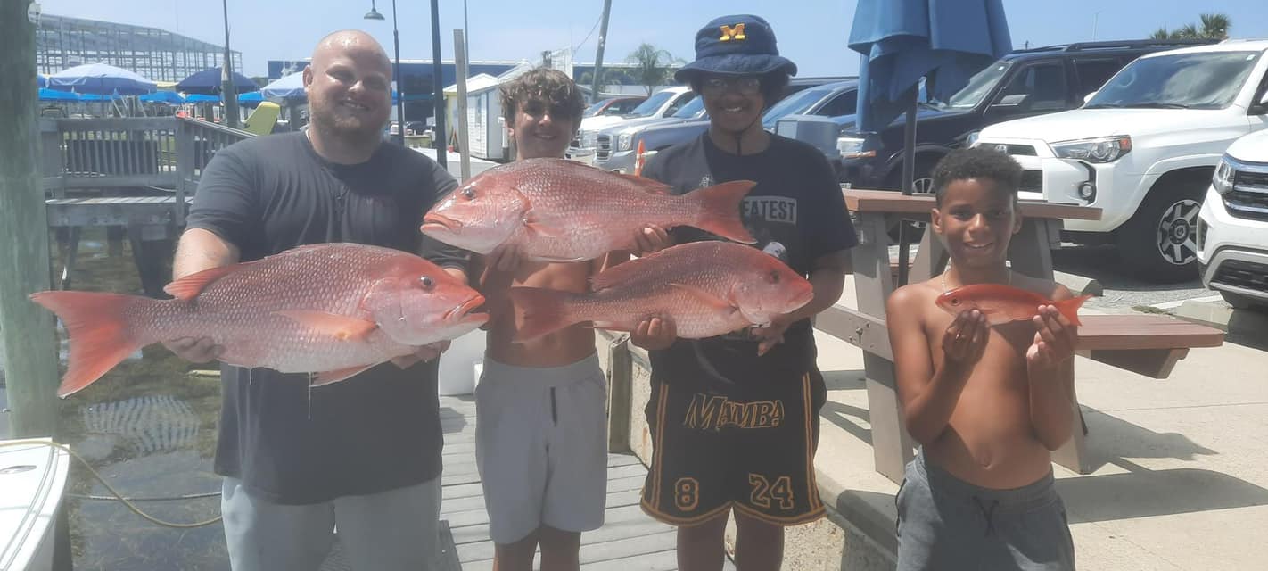 3 schoolmaster snapper fish in FL