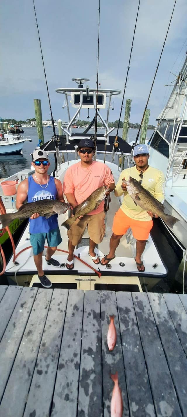 Two gag grouper fish caught in FL