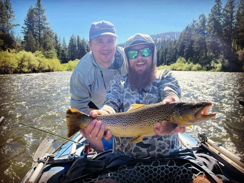 Brown trout caught while fishing in Willow Alaska