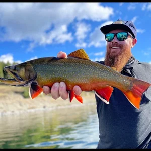 Large trout caught while fishing in Willow Alaska