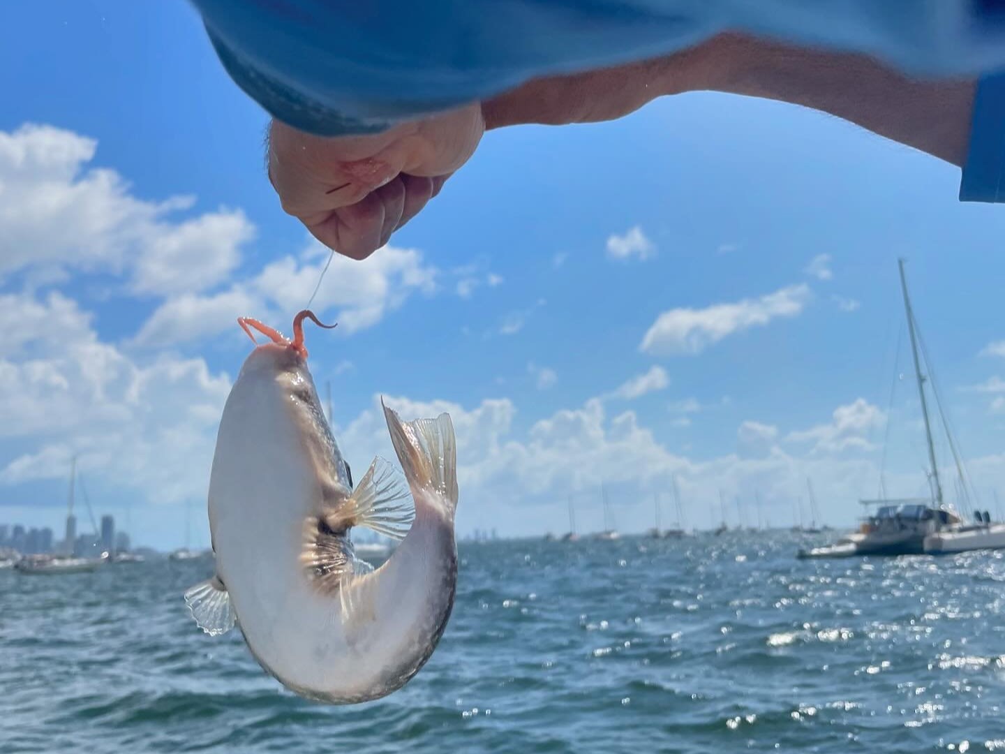 A fishing trip in FL