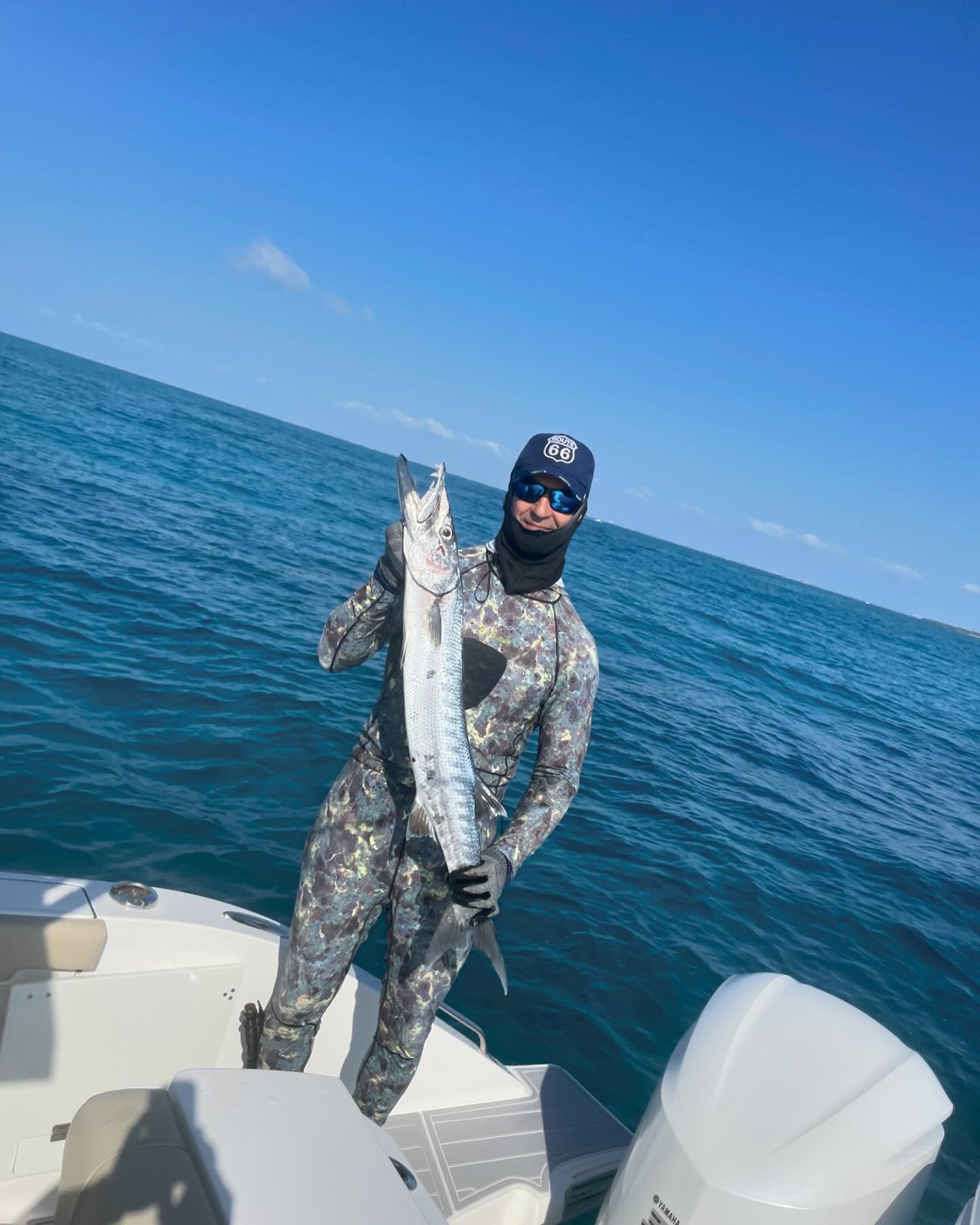 A single great barracuda, a large predatory fish, being caught while fishing in Florida