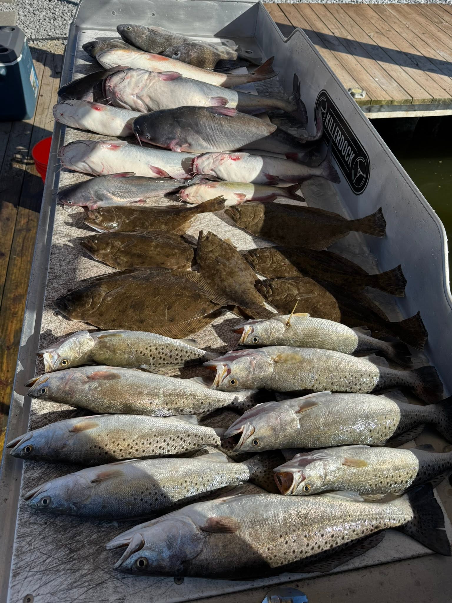 Fresh catch of speckled trout and southern flounder displayed in fishing boat in Slidell Louisiana