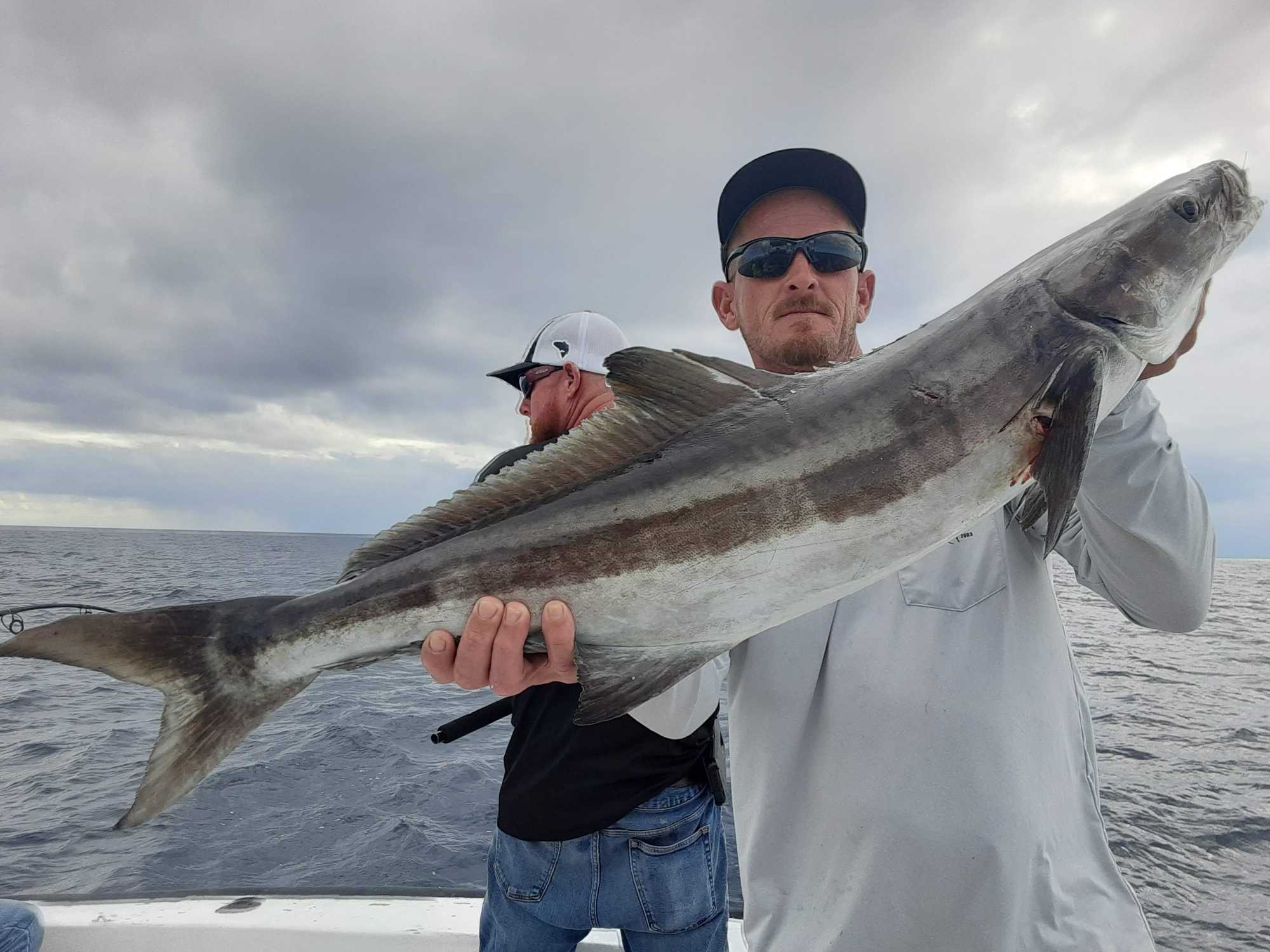 Cobia fish caught by two people in Fellsmere