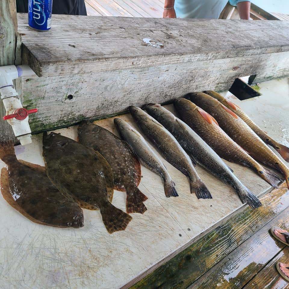 Four southern flounder and great snakehead fish caught in Galveston