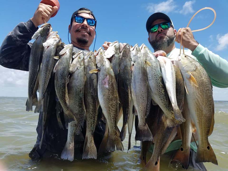 Six redfish and spotted weakfish caught in TX
